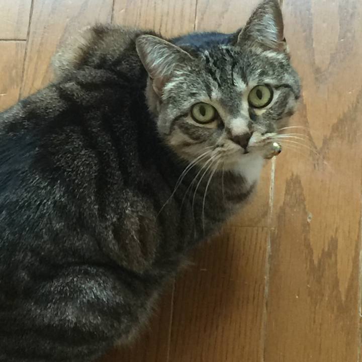 3c225e22 f34a 4986 ab0a f9a0d3e2e828 1552718514074