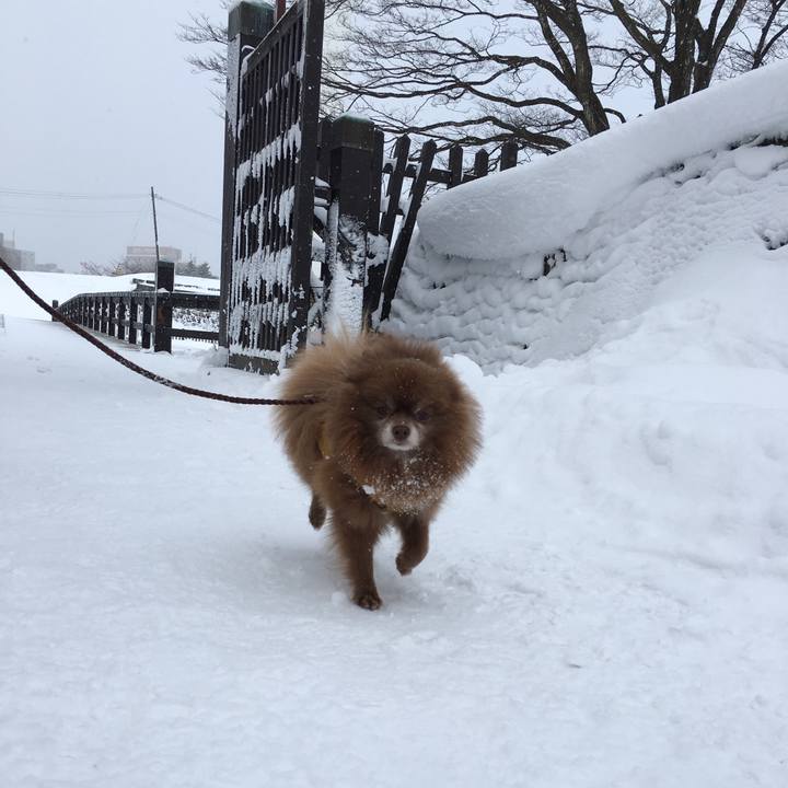 3c228378 5363 449e ae62 84b172ff3994 1514351205624