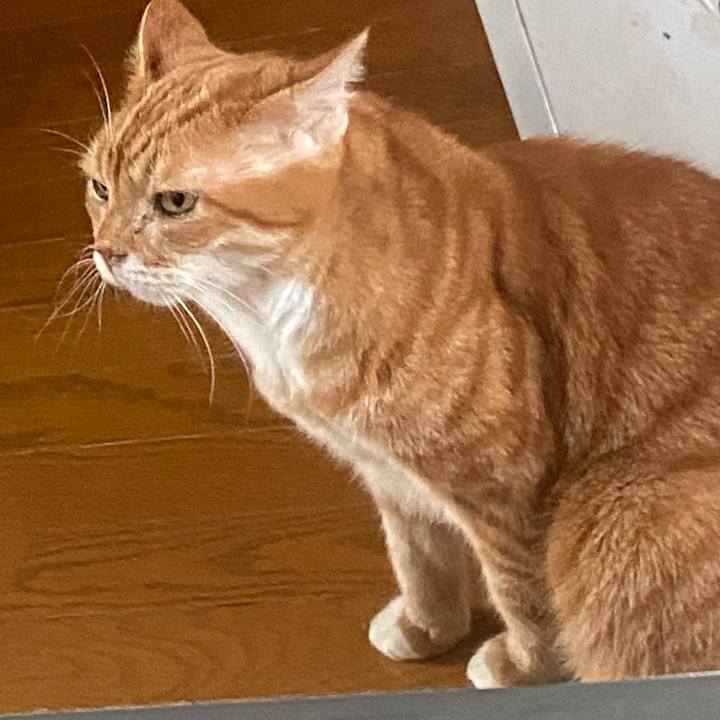 3c228bb7 799f 4b3a a24e 2f950a847908 1663372569519