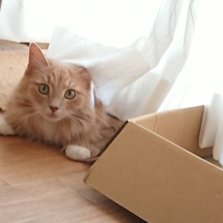 3c229de4 a64e 4e4a b16e 10b7518ac8b4 1536111633565