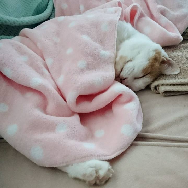 3c22ae80 9060 4c53 80e6 4f58d4672b47 1534380400264