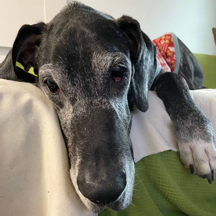 3c22d6d9 930c 435f ac28 caa6ff86321d 1665096511336