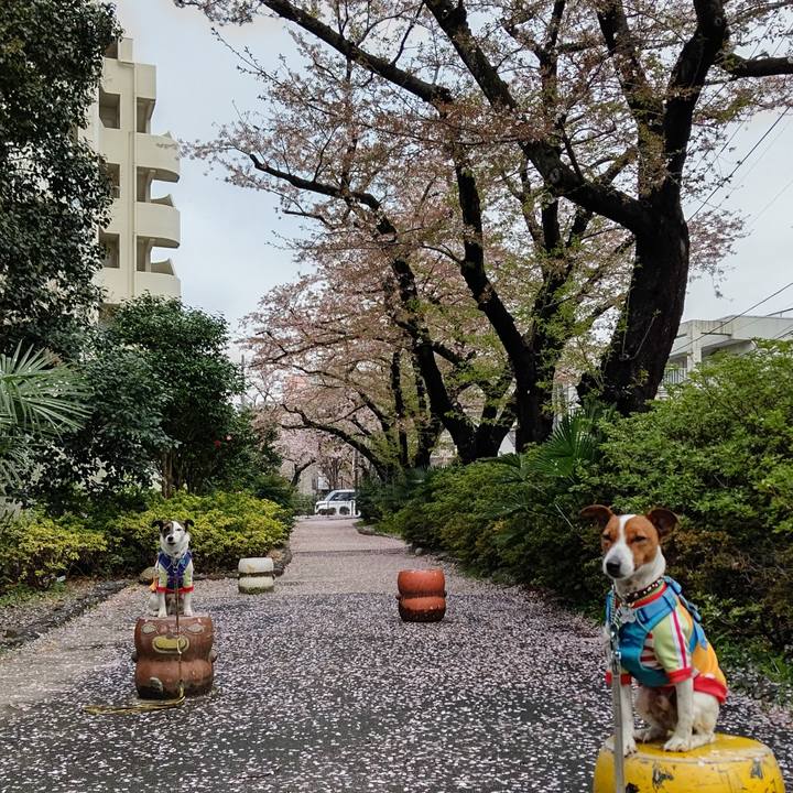 3c2306c2 cef1 4370 af66 028d1d74cc9d 1649110058301