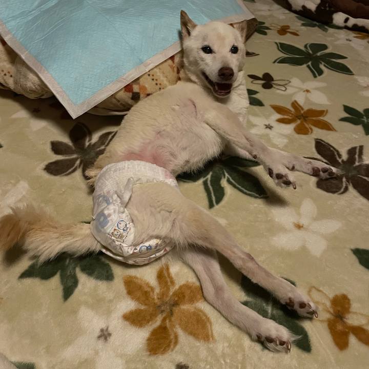 3c233ae1 484f 4df3 8782 28638386b61a 1669400110930