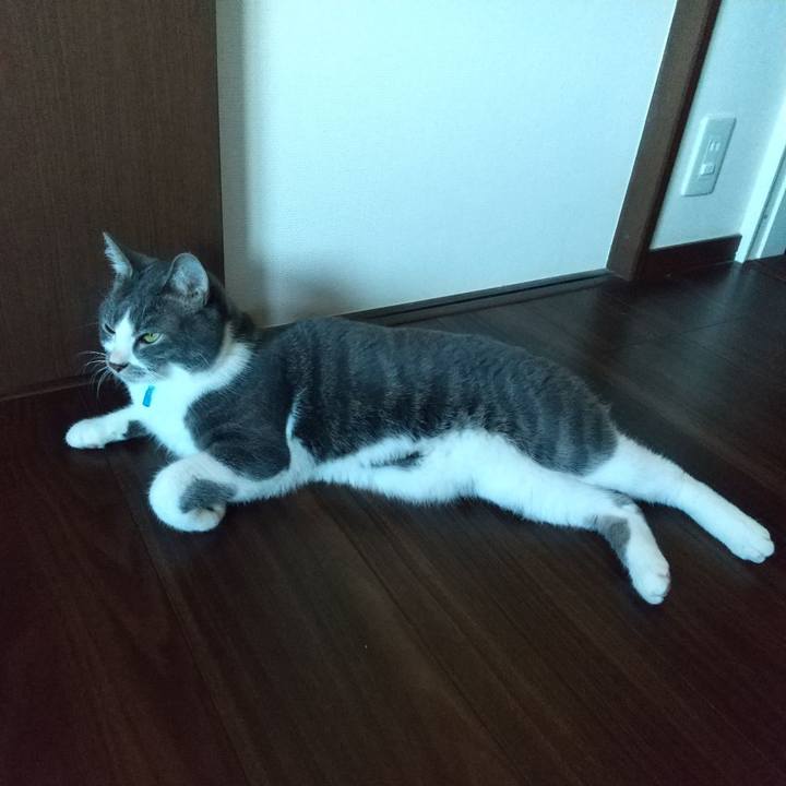 3c23420e 3857 403f 851f b24958a53ce2 1605397960218