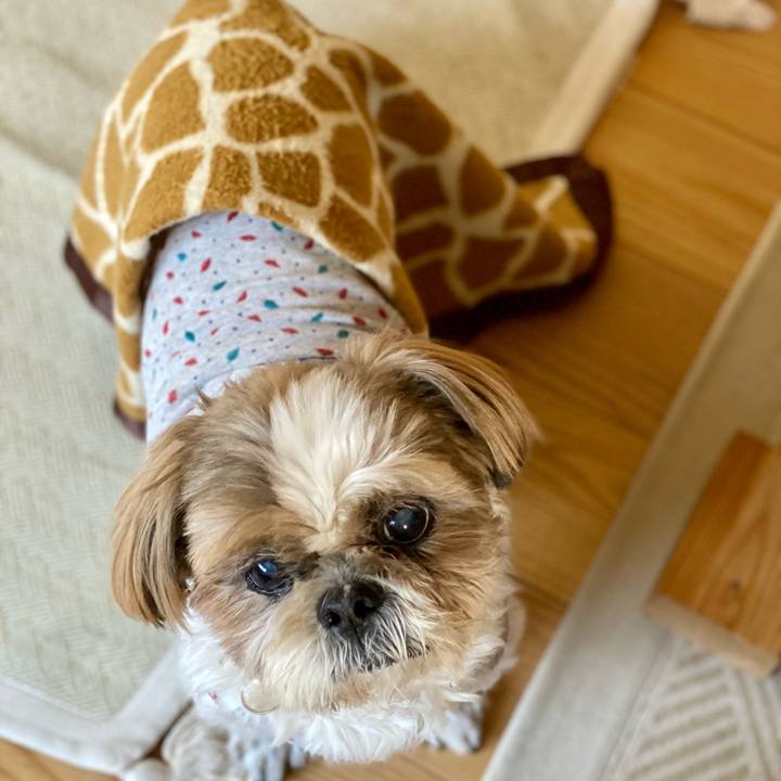 3c23a7f5 217f 4ba9 9e3e 0272c540c098 1668558046033