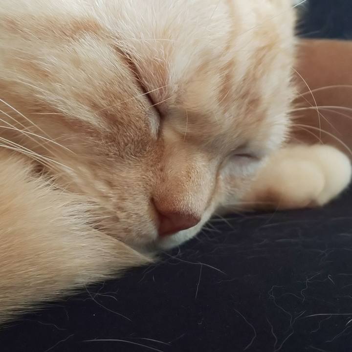 3c23abf8 b055 4b26 856d 15393173cc62 1540201211868