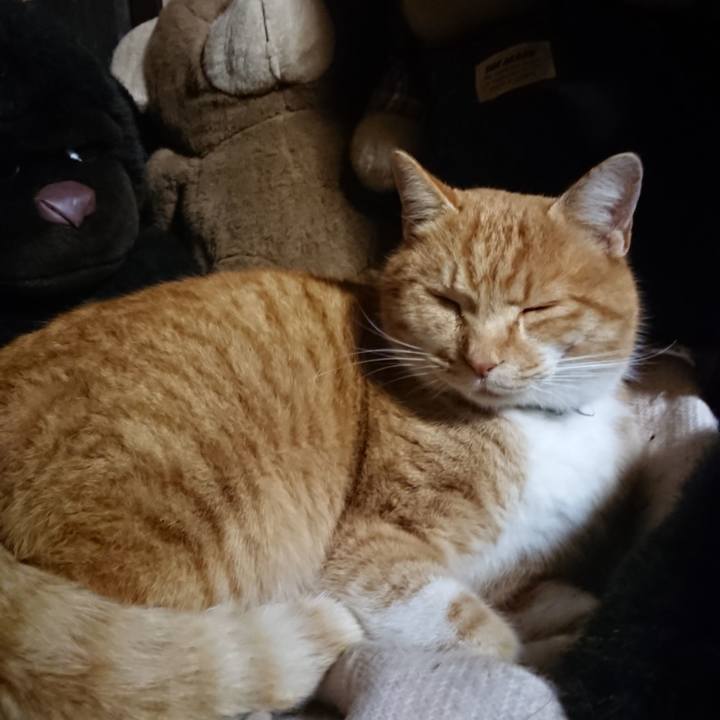 3c2453b0 51a6 49d1 af9b 824b6cc811b8 1607851714566