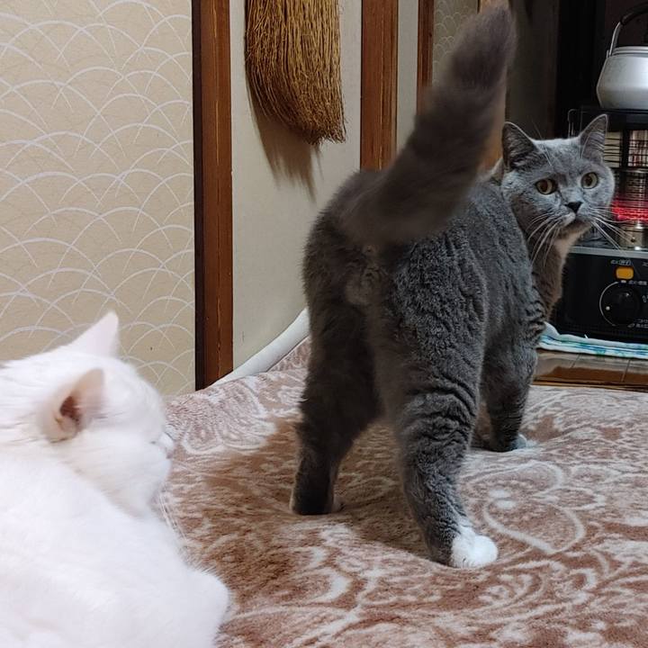 3c245417 e16e 488f b08c b625b22acff1 1767268999340