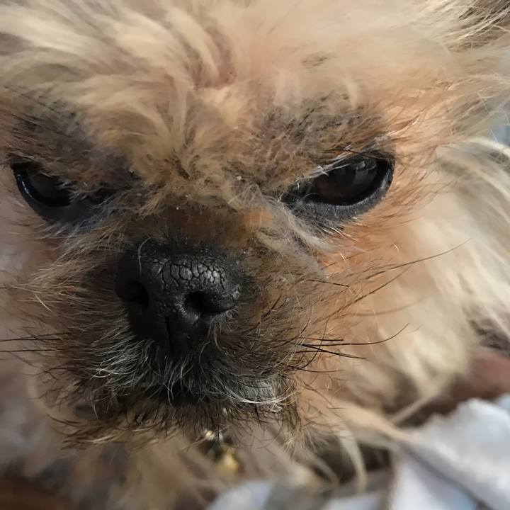 3c24d481 db9a 4ac0 9344 3bceb9442d50 1523433421747