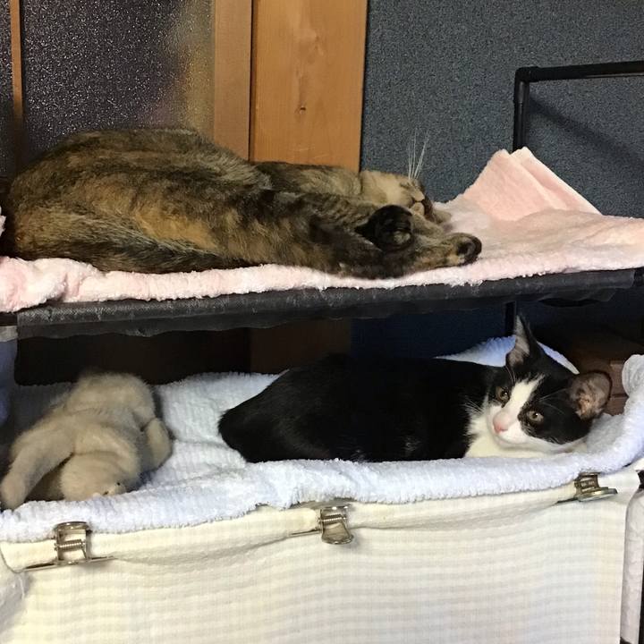 3c24dc8d 667c 449b a214 10675b3a579b 1627809330324