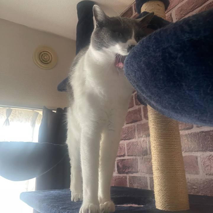 3c250dfb ec15 4c53 909d 3e924ca2a45a 1680302381494