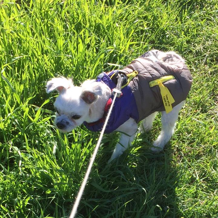 3c251928 c39e 4dec 8d34 3a348c26fdf9 1546064662572