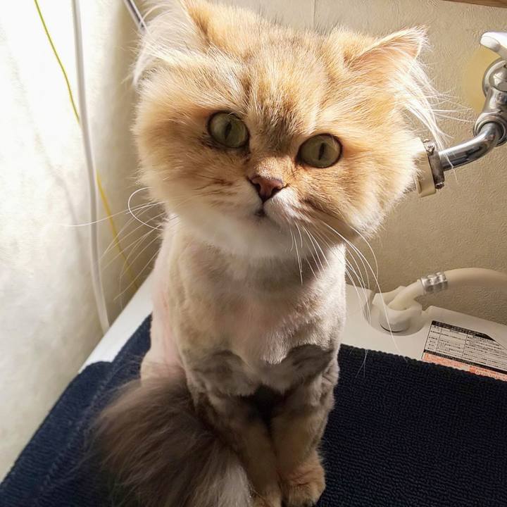 3c25310a 3f0a 43de a8a4 4f64f2aa1ab0 1664324340205