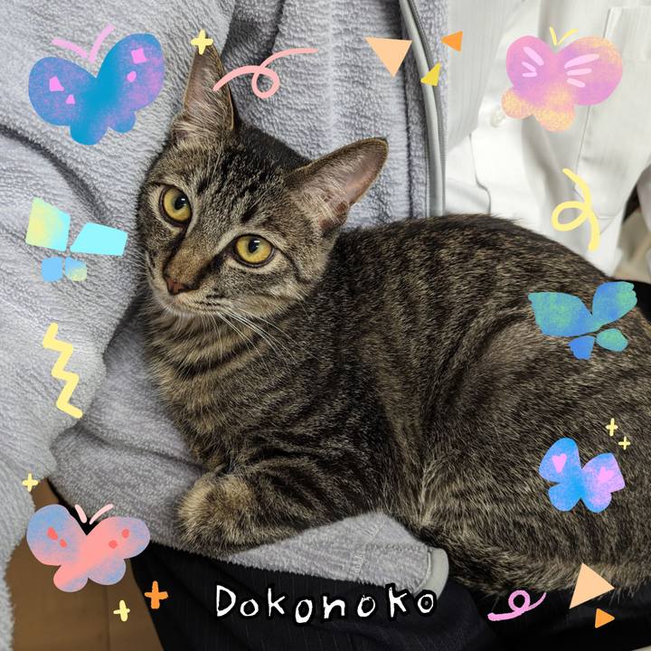 3c254b0d 0a3e 410e 848d 5c1dff300cca 1711426418293