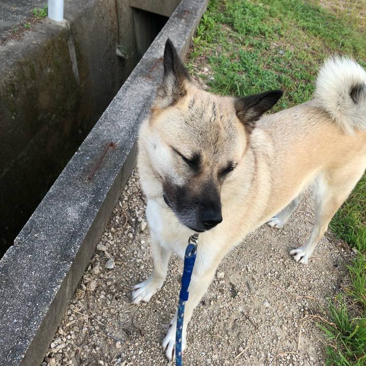 3c255573 090b 4ad9 a392 bc5c5e0e142f 1598011773784