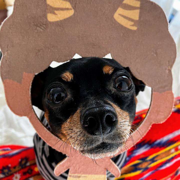 3c256424 5e69 4d14 86a1 97b31e2b97b7 1707055140732