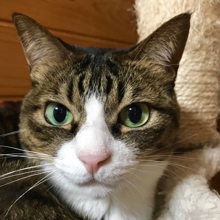 3c25ac61 dee7 4a0c ae96 f80c112eac5a 1551488112195