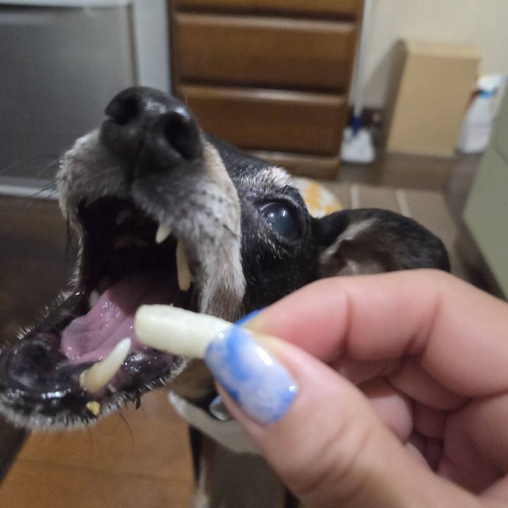 3c25bf4a 0009 449f a3ca fb506d8dc47a 1751917243274