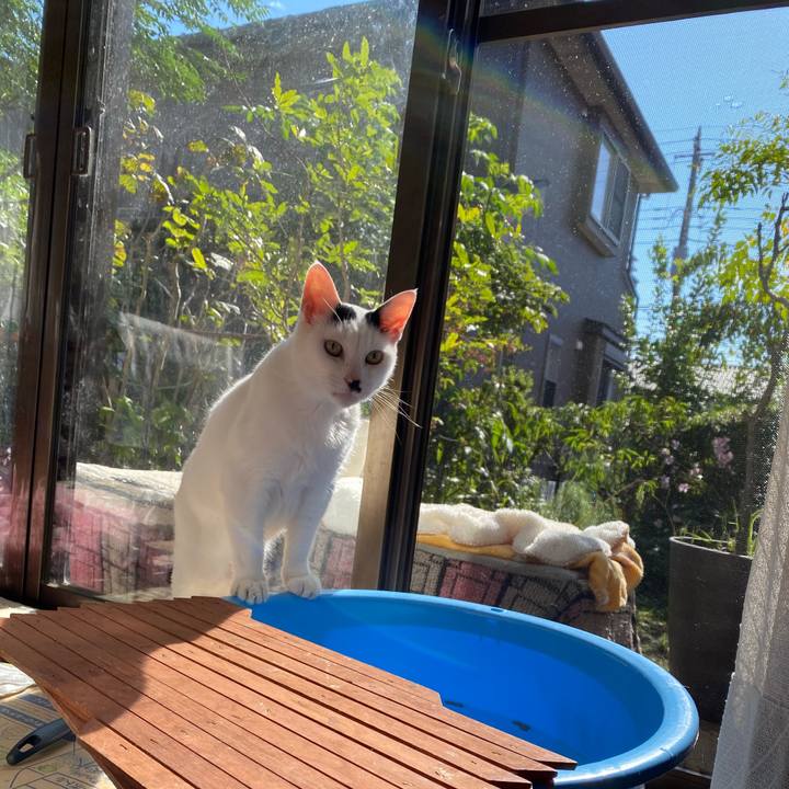 3c25e392 5982 4530 952a 551bfc2997de 1602993773758