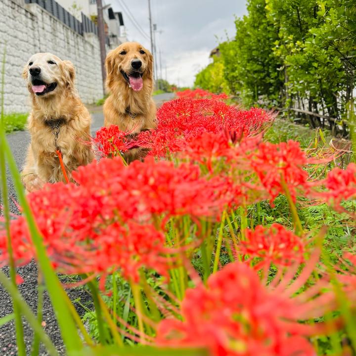 3c25ffbd b856 4a56 9e8a 4edc102f9961 1759278921849