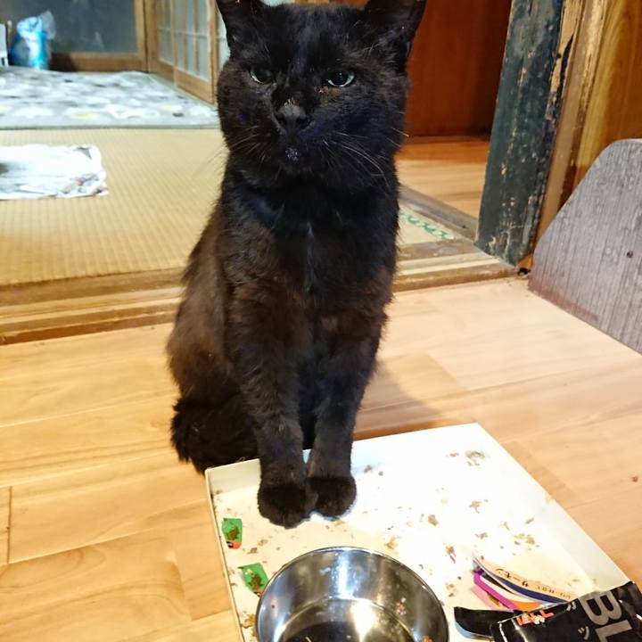 3c262c4b ed66 4d0f 9012 ca42fc0da99e 1624972956720