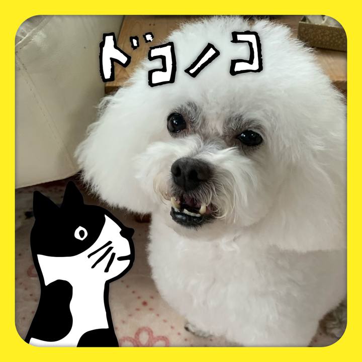 3c2634a0 9919 42c8 8e85 b057e8de39cf 1622960130699