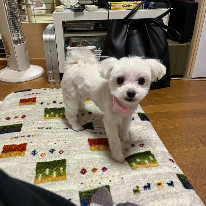 3c264a59 9a72 405a b004 b14219cc90dc 1710242877484