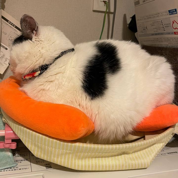 3c269138 323c 424b 89df 82b9d4195c49 1707262726331