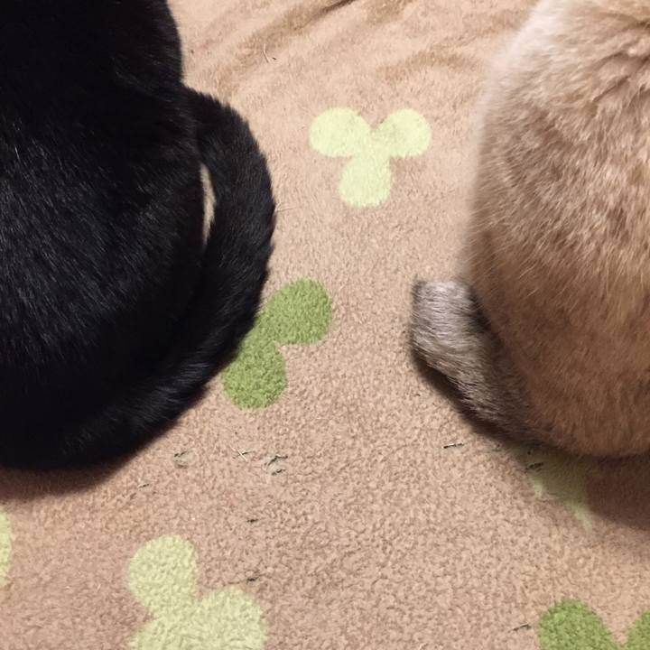 3c269156 20fc 4a18 99f7 ae32d684b02a 1575837895748