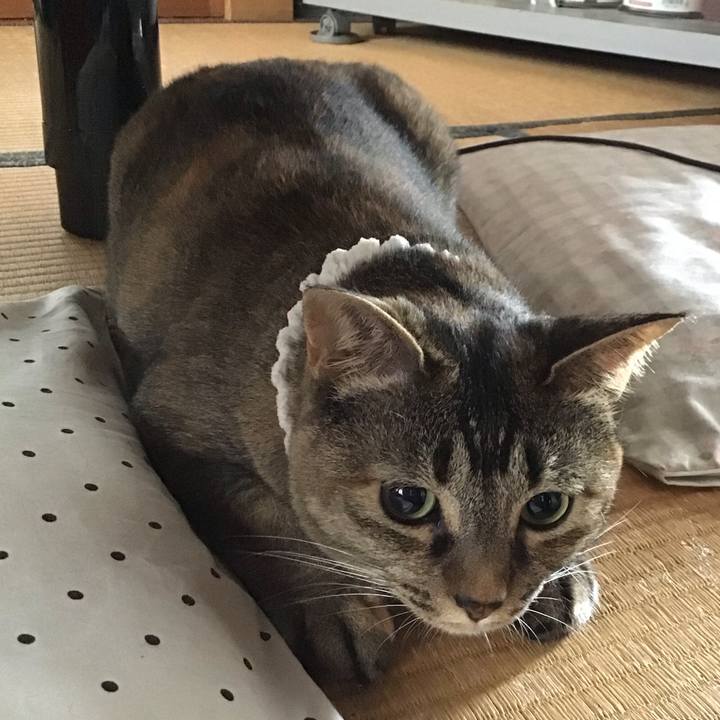 3c26c659 7f50 4730 9822 d85638c5ec96 1688129241853