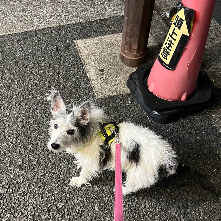 3c26feab 1764 47d1 8a20 8ca9f7cda92a 1669163991714