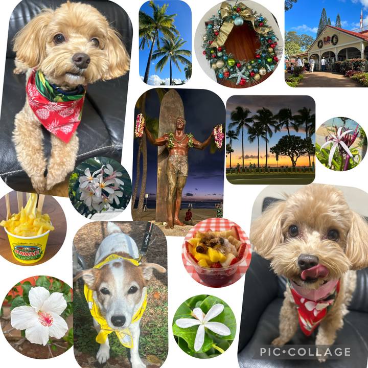 3c271aab 3c46 471a acbc 1765e7b450aa 1701194804442