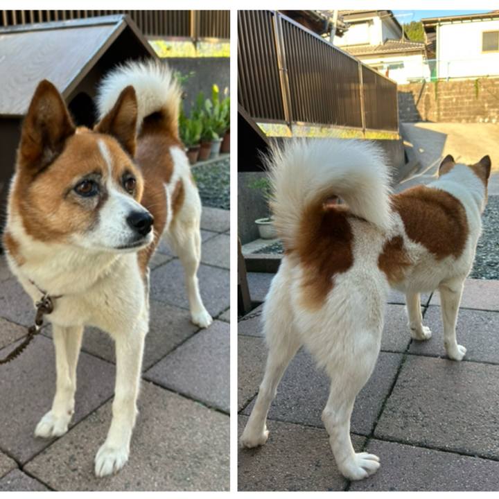 3c271b22 47f2 4076 b85e a9d8ec34fe80 1759008897049