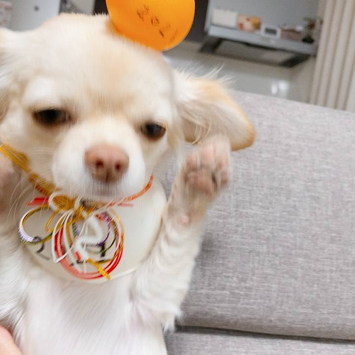 3c273786 d82b 41ef 8b57 537788dd6f73 1610724910807