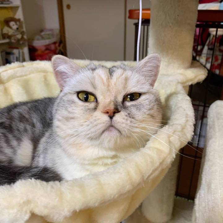 3c274929 6c38 4cc7 b70b f840d3dd0cc5 1716718152138