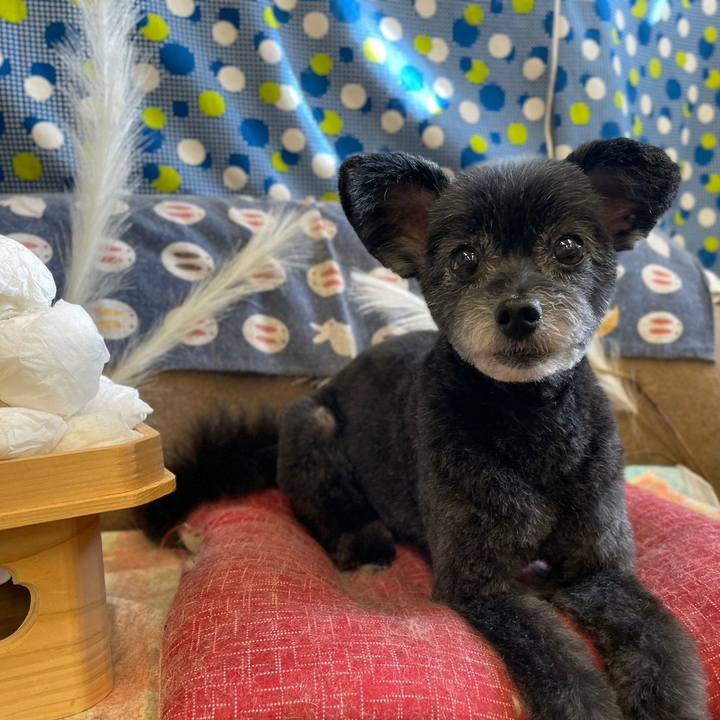 3c277dc5 0c63 4e3a 8c28 71b7bc4a079a 1694332917327