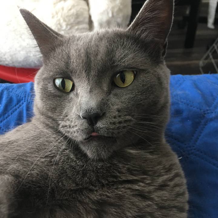 3c2792ec 5406 48b4 afab d9963ff64007 1641962005722