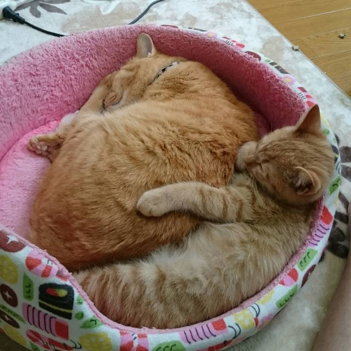 3c27d3ef 848e 4b27 9054 8187543653d4 1542095606103