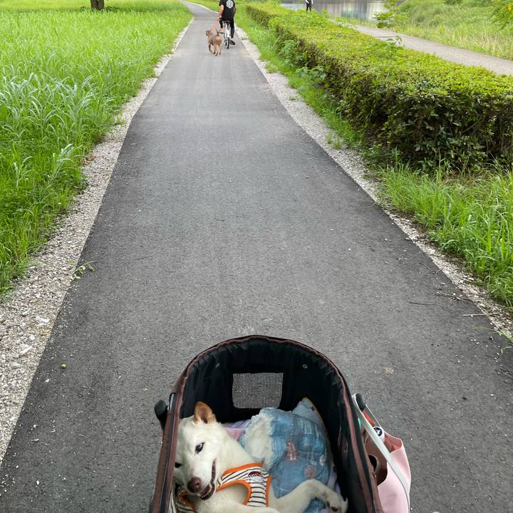 3c27f3ef 6a50 4b59 89c2 99a46dd0bcfe 1657581544977