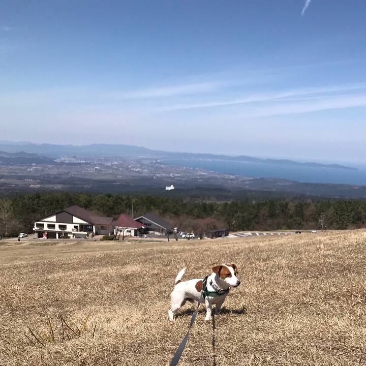 3c281e51 c999 463d 949d 7e92d9526b85 1555211792527