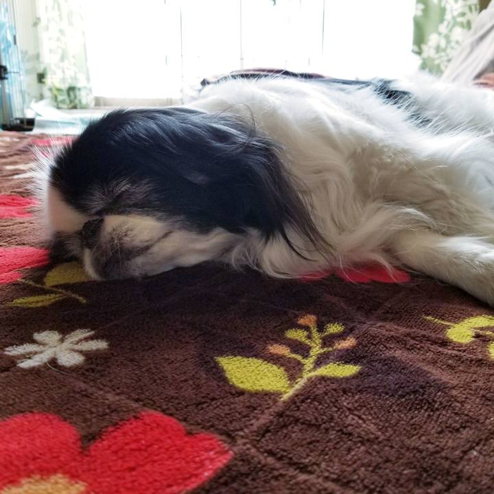 3c281e95 e560 4d33 9b98 6d421e1f8f4d 1549854133602