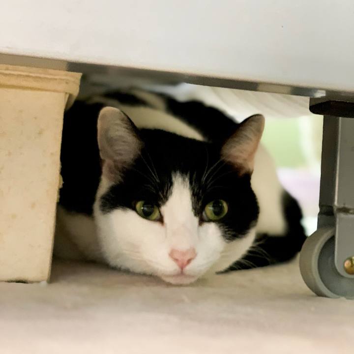 3c283ddc d60f 4637 b37a c708ae79936b 1546307899805