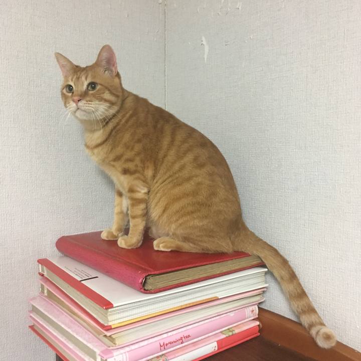 3c283e5e 76a4 4ff3 87b8 c5505da8a4bf 1541676014513