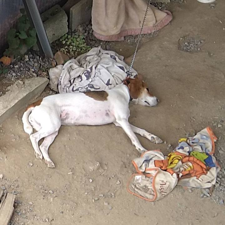 3c287321 75ef 4e0d 91bf 4da937dd2993 1629640990857