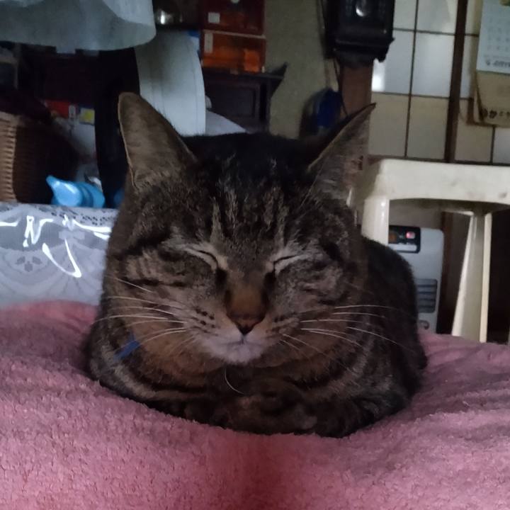 3c288707 d81c 43a5 9145 4ad8355080f9 1678680109296