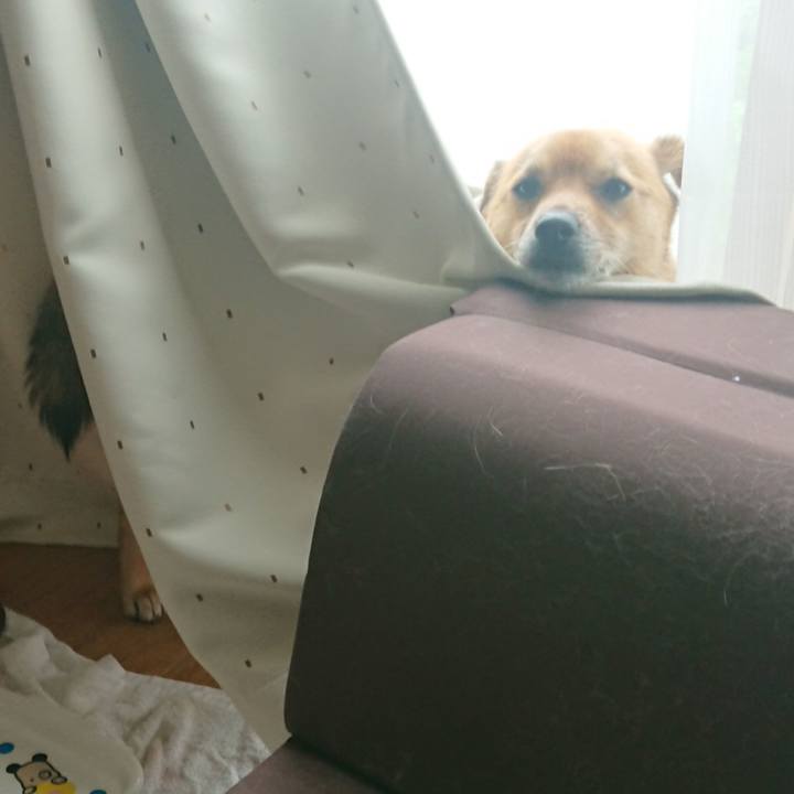 3c289a10 1f7e 4f4a b60d 5f7a646a1556 1655994353723