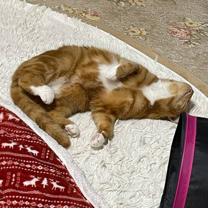 3c289fea c75f 48bd a4b0 27181f230387 1615641634340