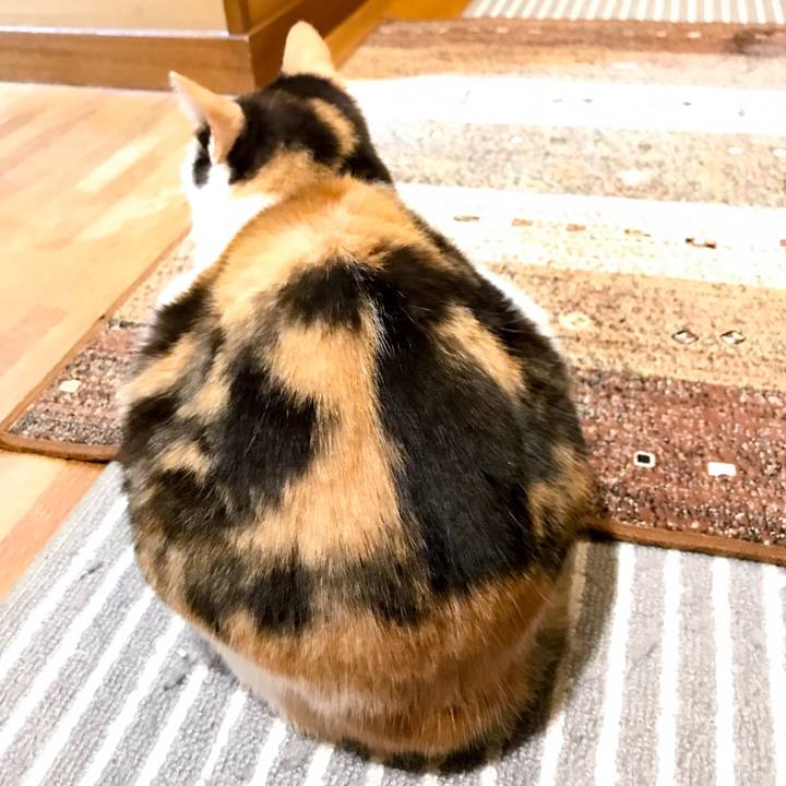 3c28c9a1 5b1d 457c 867a 5392118aa2a2 1526263034622