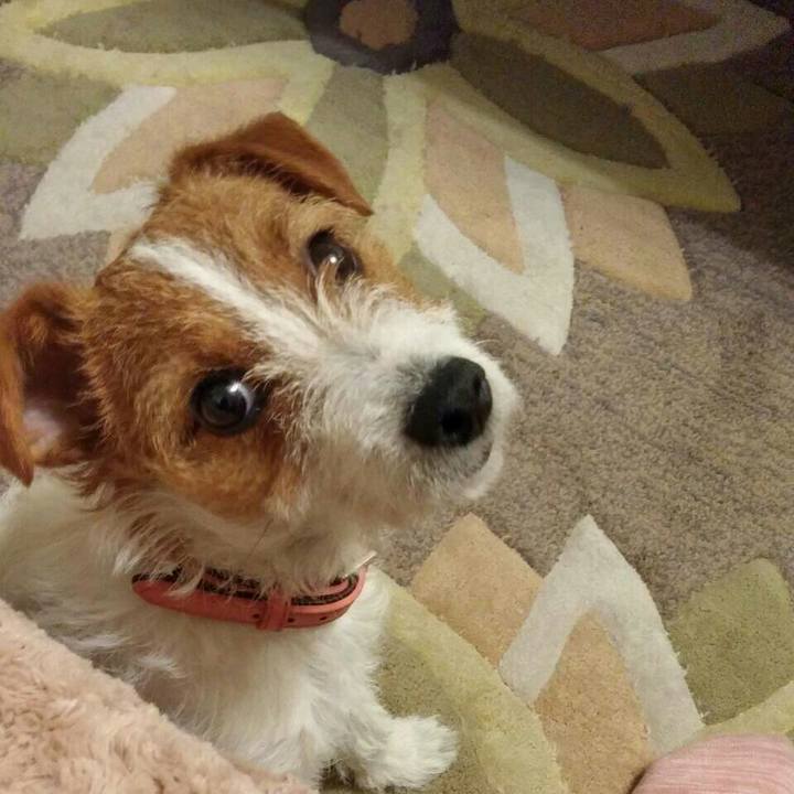 3c29323f ae06 4a02 a3c6 4da2dde57593 1511927181051